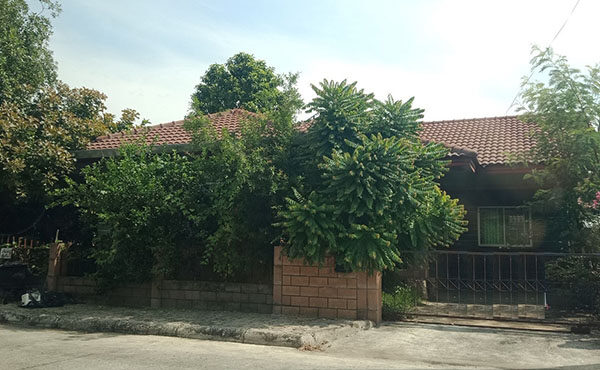 ให้เช่าบ้านเดี่ยว ชั้นเดียว 3 ห้องนอน 2 ห้องน้ำ A5-H0037