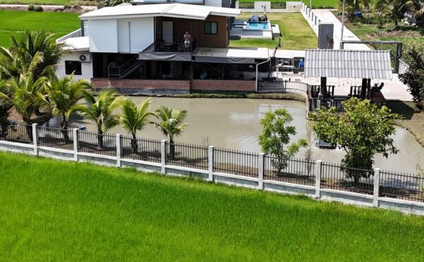 ให้เช่าบ้านเดี่ยวสองชั้น บ้านสวนสวย บรรยากาศร่มรื่น รายล้อมด้วยธรรมชาติ เหมาะสำหรับผู้ที่ต้องการความสงบ AMR-H0301