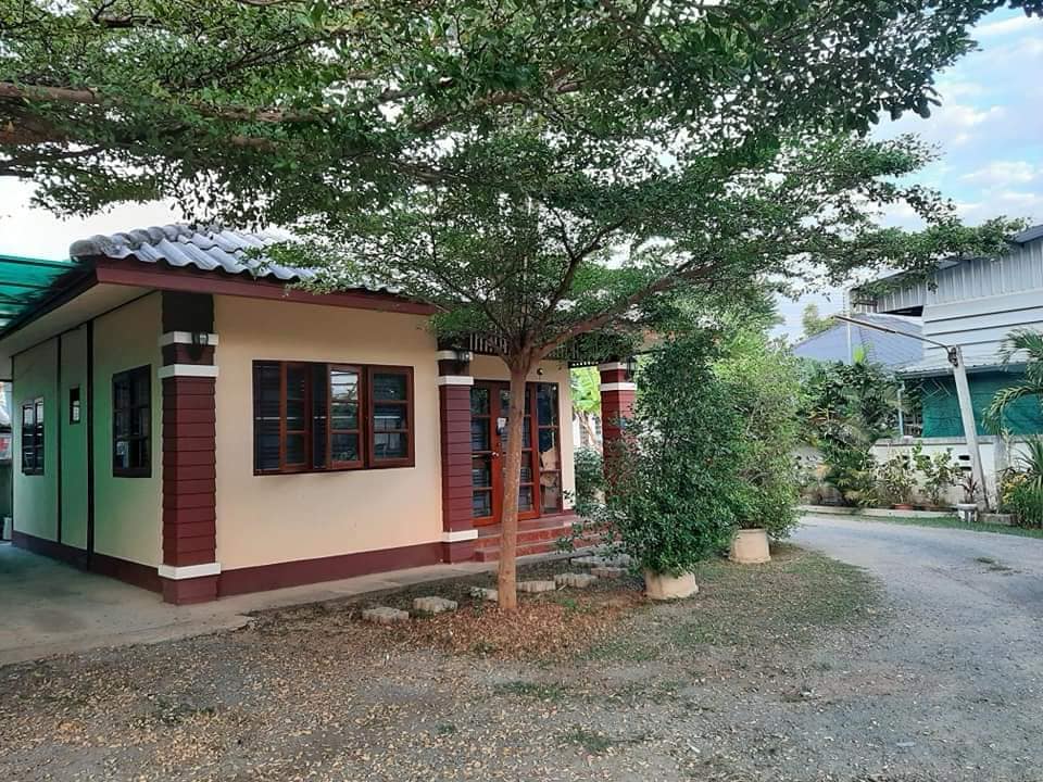 บ้านเดี่ยวชั้นเดียวให้เช่า สันทรายน้อย เชียงใหม่ ทำเลดี ใกล้แหล่งชุมชน | รหัส A4-H0443