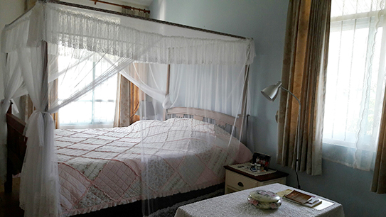 บ้านเดี่ยวชั้นเดียว สไตล์พรีเมียม ให้เช่าในทำเลคุณภาพ อ.แม่ริม AMR-H0061