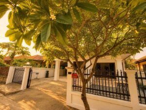 บ้านเดี่ยวชั้นเดียวให้เช่า – Pet Friendly บรรยากาศส่วนตัว AHD-H1360